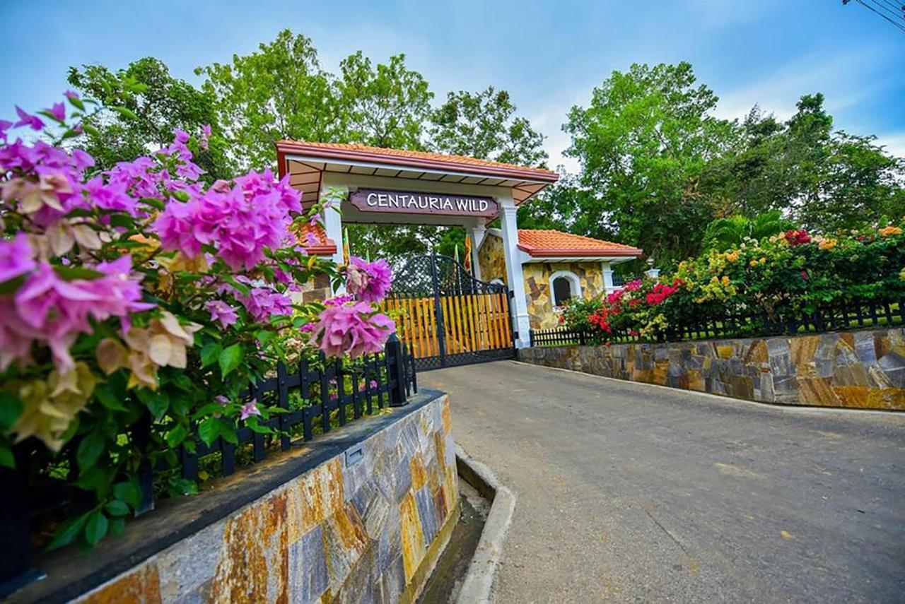 Centauria Wild Hotel Udawalawe Exterior foto